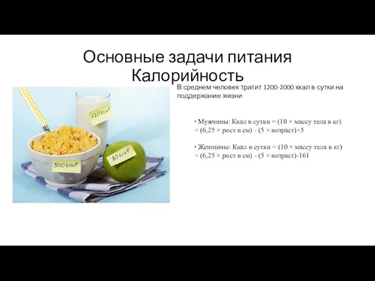 Основные задачи питания Калорийность В среднем человек тратит 1200-2000 ккал в сутки