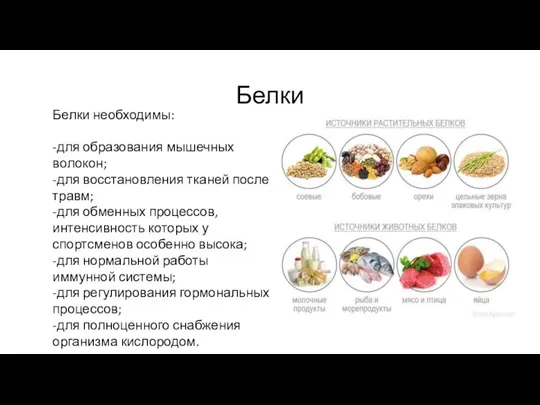 Белки Белки необходимы: -для образования мышечных волокон; -для восстановления тканей после травм;