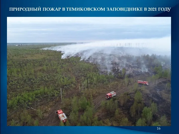 ПРИРОДНЫЙ ПОЖАР В ТЕМИКОВСКОМ ЗАПОВЕДНИКЕ В 2021 ГОДУ