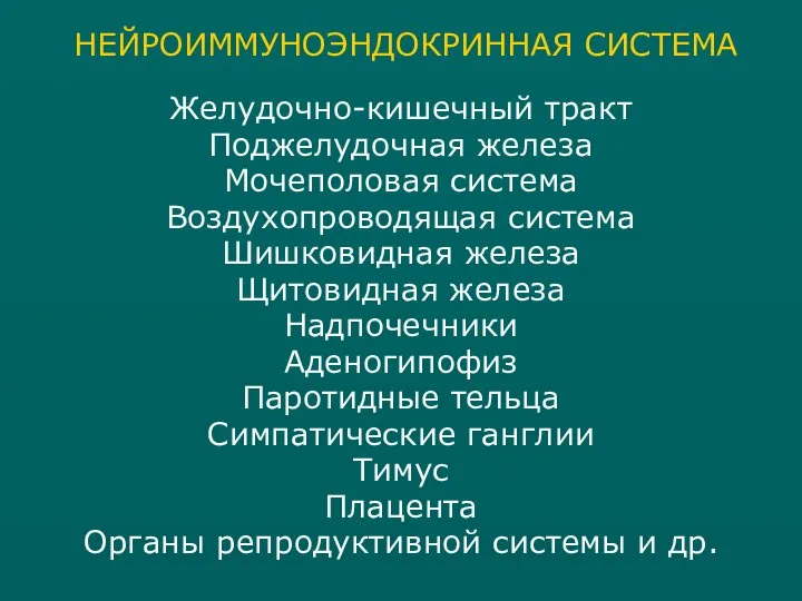 Желудочно-кишечный тракт Поджелудочная железа Мочеполовая система Воздухопроводящая система Шишковидная железа Щитовидная железа