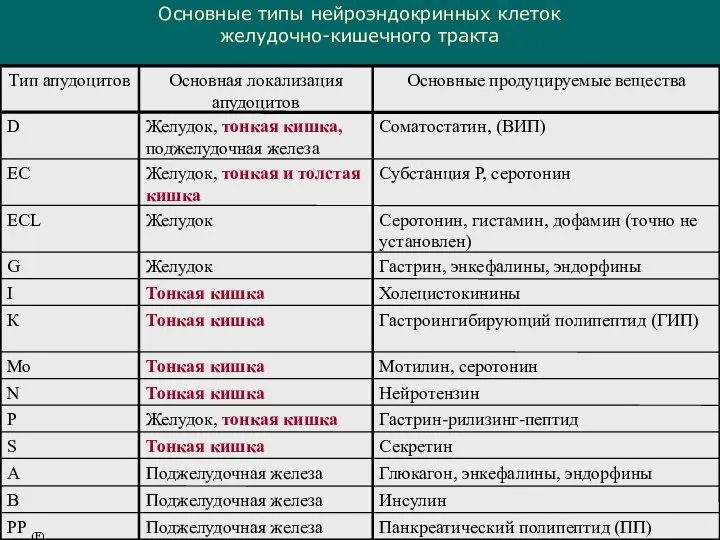 Основные типы нейроэндокринных клеток желудочно-кишечного тракта