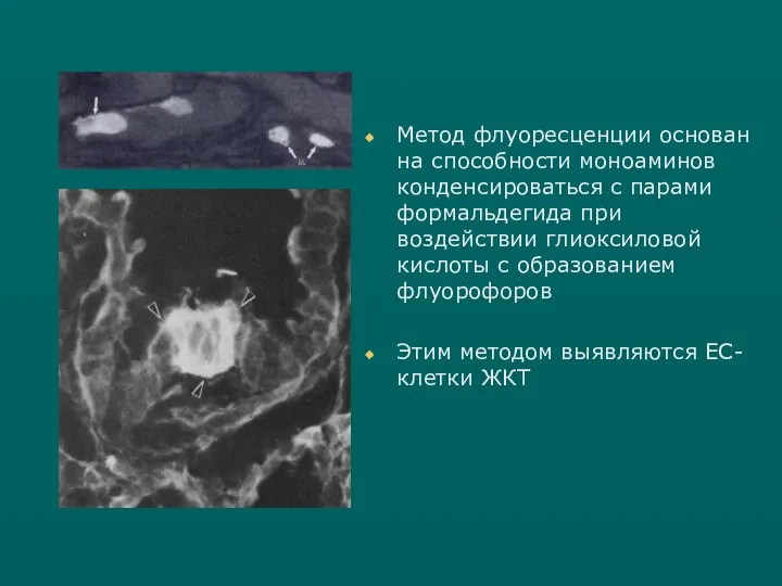 Метод флуоресценции основан на способности моноаминов конденсироваться с парами формальдегида при воздействии