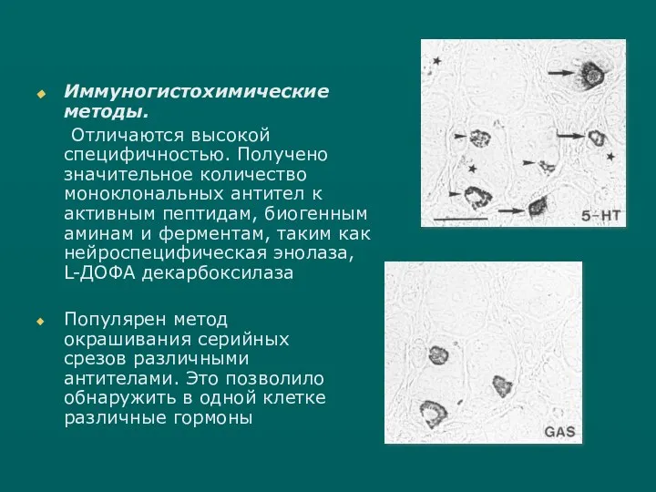 Иммуногистохимические методы. Отличаются высокой специфичностью. Получено значительное количество моноклональных антител к активным