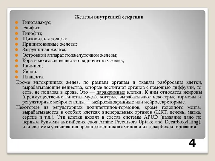 Железы внутренней секреции Гипоталамус; Эпифиз; Гипофиз; Щитовидная железа; Прищитовидные железы; Загрудинная железа;