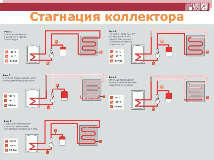 Стагнация коллектора