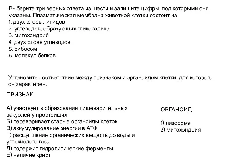 Выберите три верных ответа из шести и запишите цифры, под которыми они