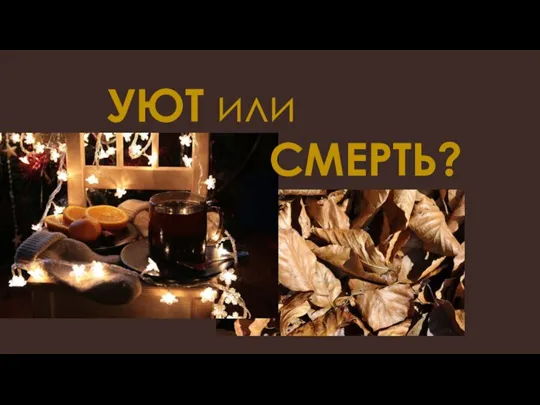 УЮТ или СМЕРТЬ?