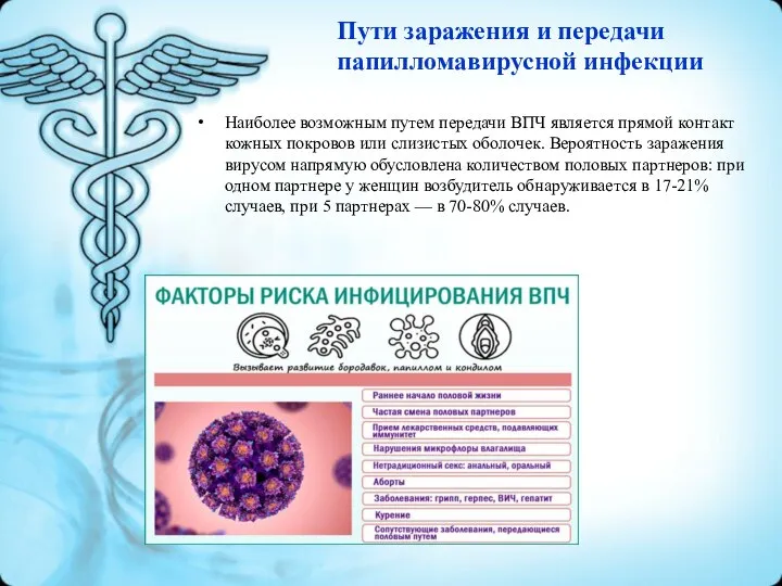Пути заражения и передачи папилломавирусной инфекции Наиболее возможным путем передачи ВПЧ является