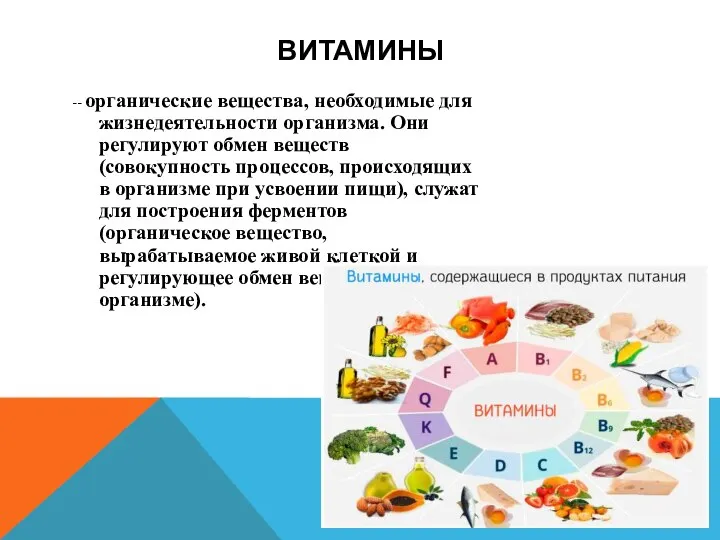 ВИТАМИНЫ -- органические вещества, необходимые для жизнедеятельности организма. Они регулируют обмен веществ