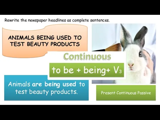 Rewrite the newspaper headlines as complete sentences. ANIMALS BEING USED TO TEST