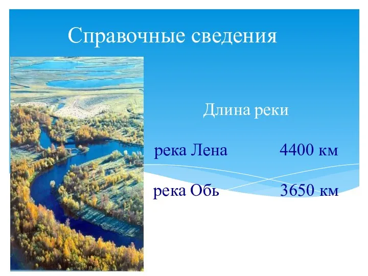 Справочные сведения Длина реки река Лена 4400 км река Обь 3650 км