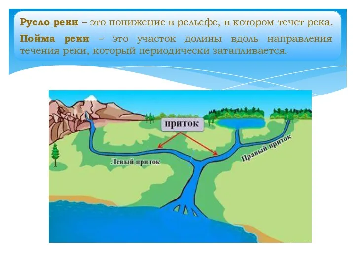 Русло реки – это понижение в рельефе, в котором течет река. Пойма