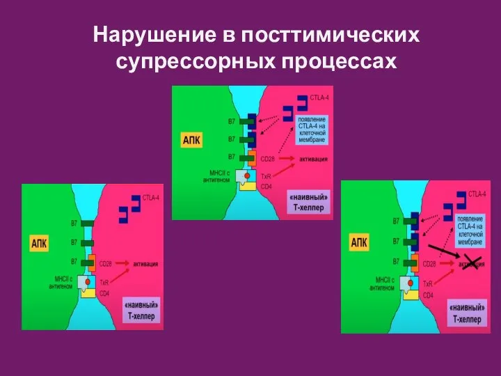 Нарушение в посттимических супрессорных процессах