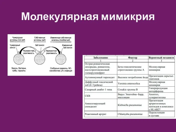 Молекулярная мимикрия