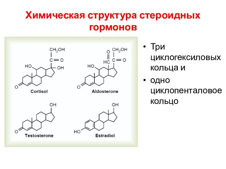 Химическая структура стероидных гормонов Три циклогексиловых кольца и одно циклопенталовое кольцо