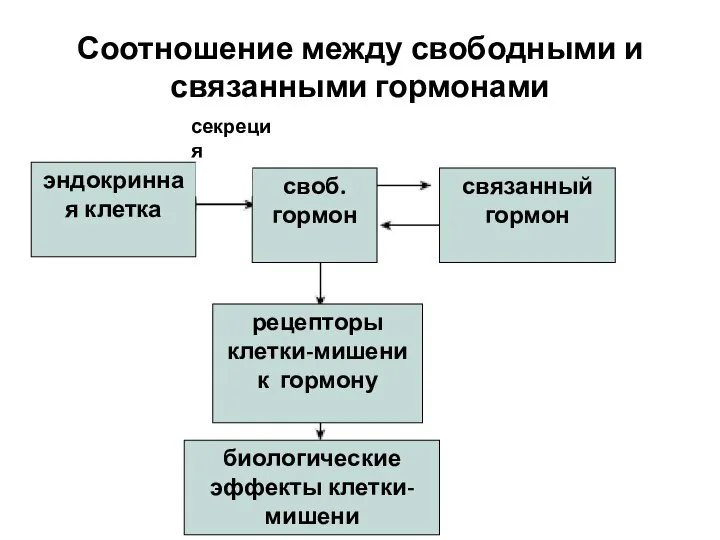 Соотношение между свободными и связанными гормонами секреция гормона рецепторы клетки-мишени к гормону