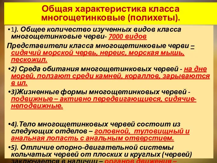 1). Общее количество изученных видов класса многощетинковые черви- 7000 видов Представители класса