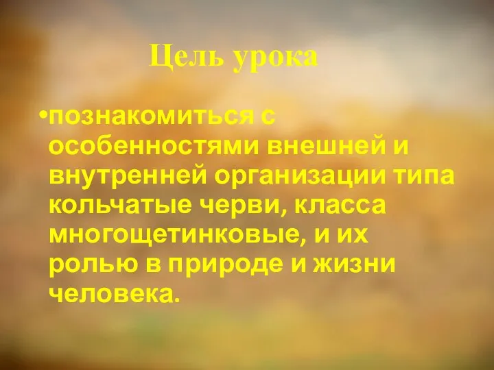 Цель урока познакомиться с особенностями внешней и внутренней организации типа кольчатые черви,