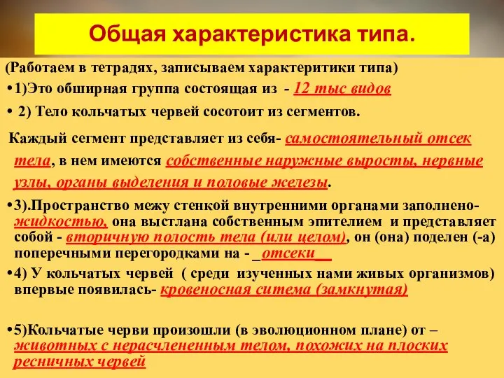 Общая характеристика типа. (Работаем в тетрадях, записываем характеритики типа) 1)Это обширная группа