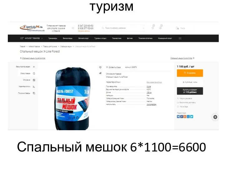 туризм Спальный мешок 6*1100=6600