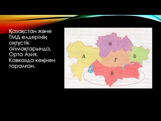 Қазақстан және ТМД елдерінің оңтүстік аймақтарында, Орта Азия, Кавказда кеңінен таралған.