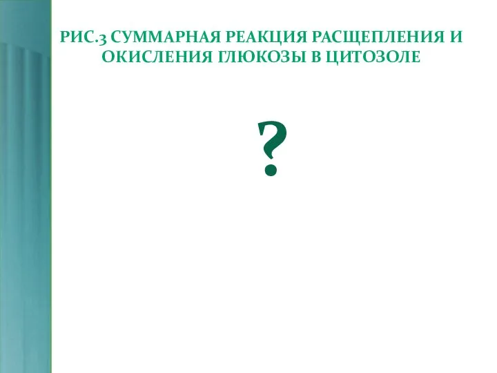 РИС.3 СУММАРНАЯ РЕАКЦИЯ РАСЩЕПЛЕНИЯ И ОКИСЛЕНИЯ ГЛЮКОЗЫ В ЦИТОЗОЛЕ ?