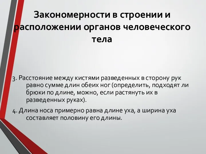 Закономерности в строении и расположении органов человеческого тела 3. Расстояние между кистями