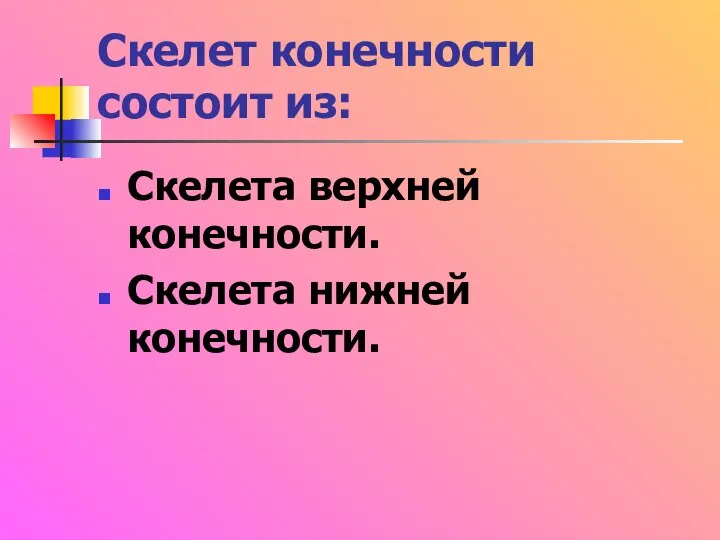 Скелет конечности состоит из: Скелета верхней конечности. Скелета нижней конечности.