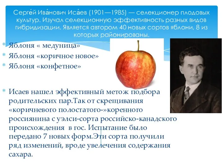 Яблоня « медуница» Яблоня «коричное новое» Яблоня «конфетное» Серге́й Ива́нович Иса́ев (1901—1985)