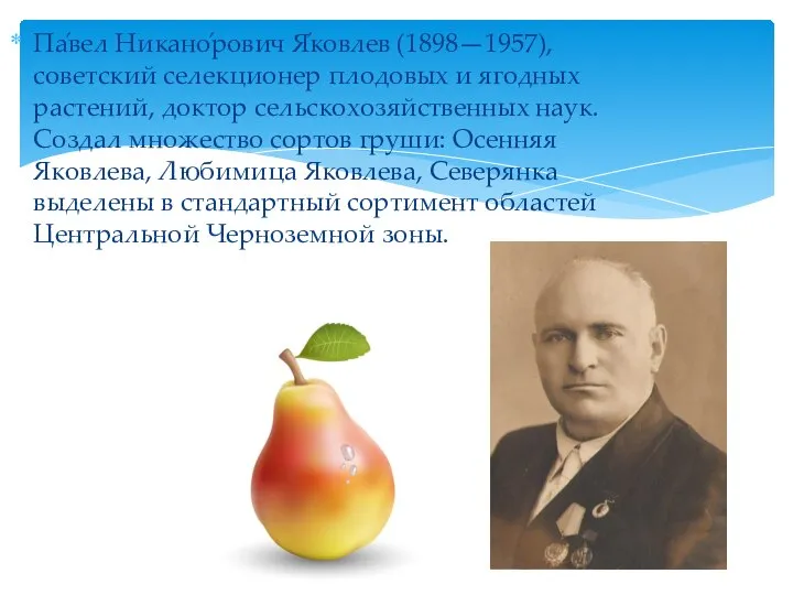 Па́вел Никано́рович Я́ковлев (1898—1957), советский селекционер плодовых и ягодных растений, доктор сельскохозяйственных