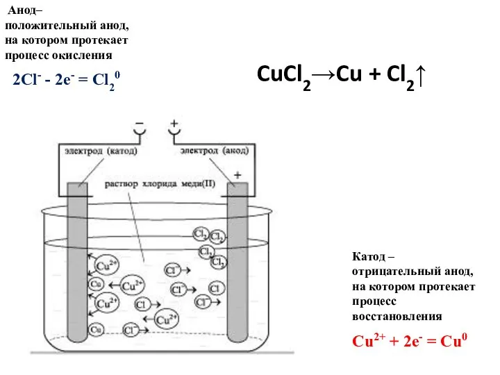 Катод – отрицательный анод, на котором протекает процесс восстановления Анод– положительный анод,