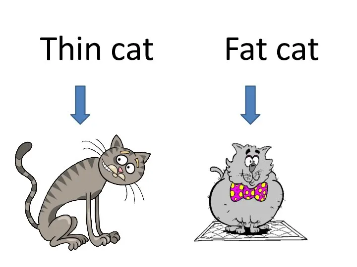 Thin cat Fat cat