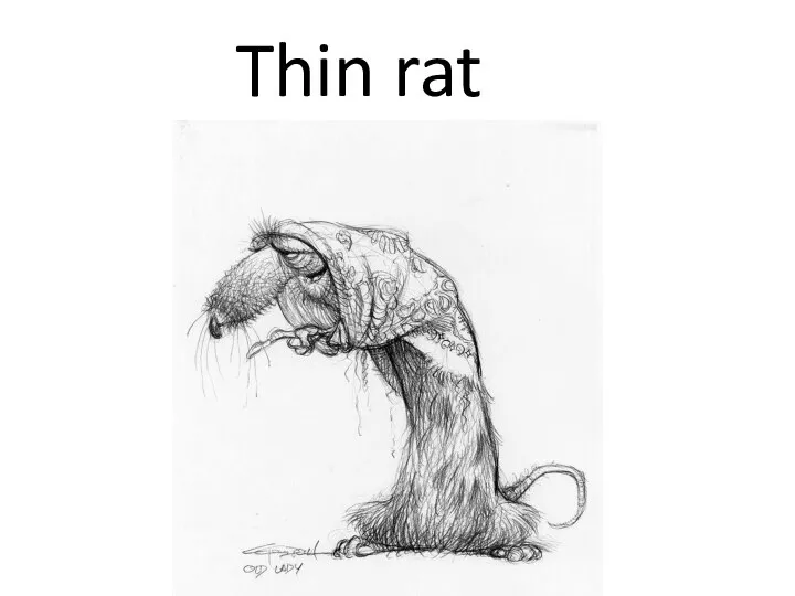Thin rat