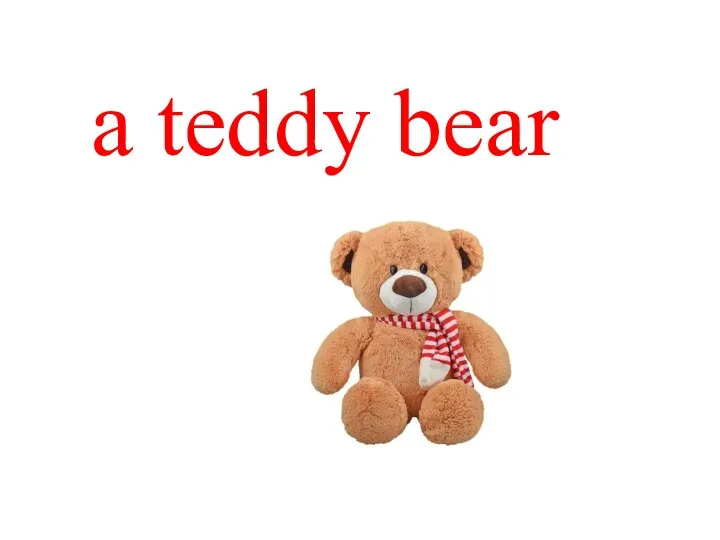a teddy bear