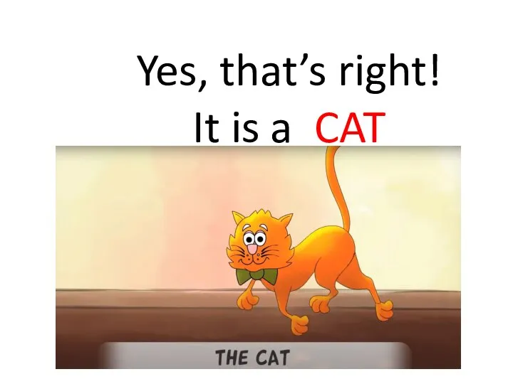 Yes, that’s right! It is a CAT