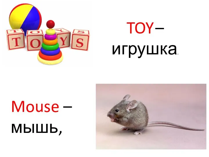 TOY – игрушка. Mouse – мышь,