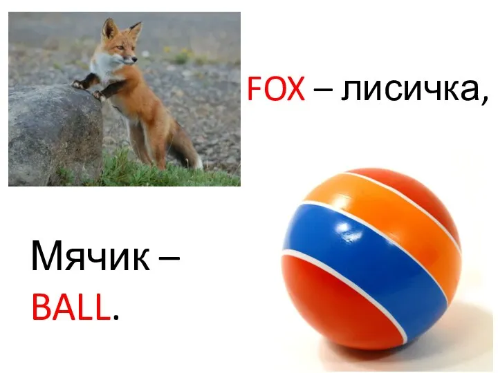 FOX – лисичка, Мячик – BALL.