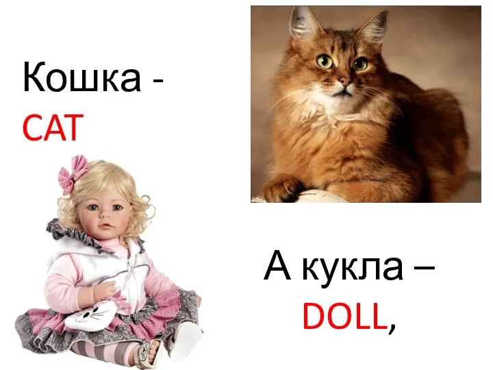 Кошка - CAT А кукла – DOLL,