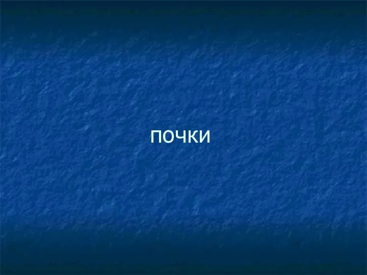 почки