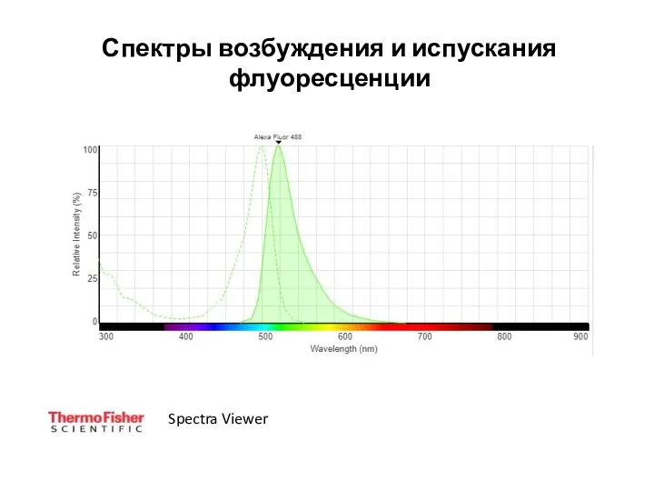 Спектры возбуждения и испускания флуоресценции Spectra Viewer