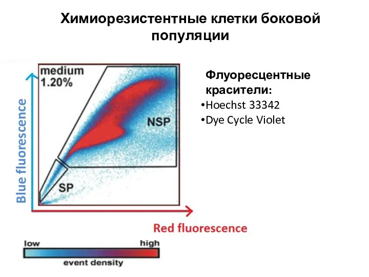 Blue fluorescence Химиорезистентные клетки боковой популяции Флуоресцентные красители: Hoechst 33342 Dye Cycle Violet