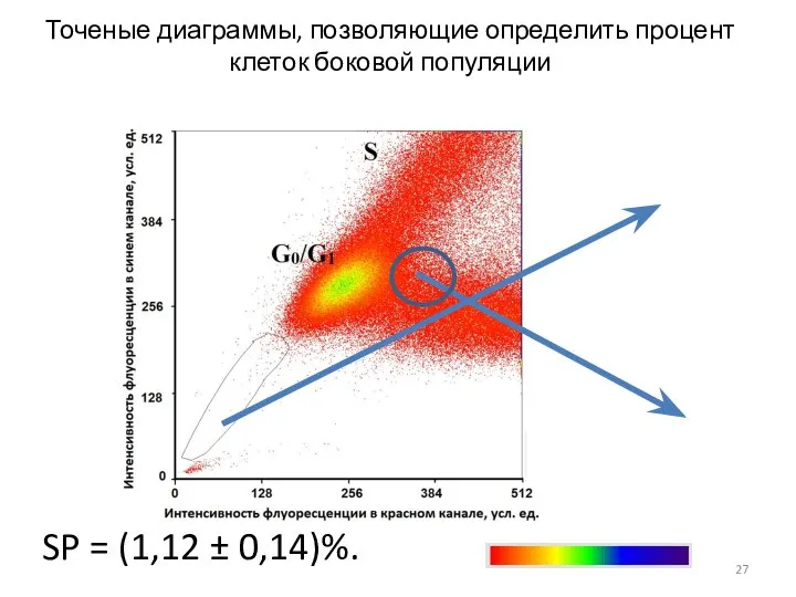 Точеные диаграммы, позволяющие определить процент клеток боковой популяции SP = (1,12 ± 0,14)%.