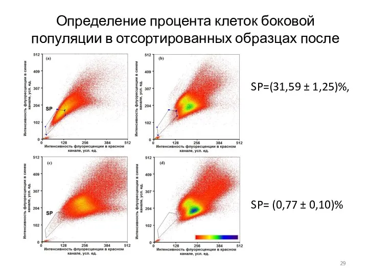 Определение процента клеток боковой популяции в отсортированных образцах после первого пассажа SP=(31,59