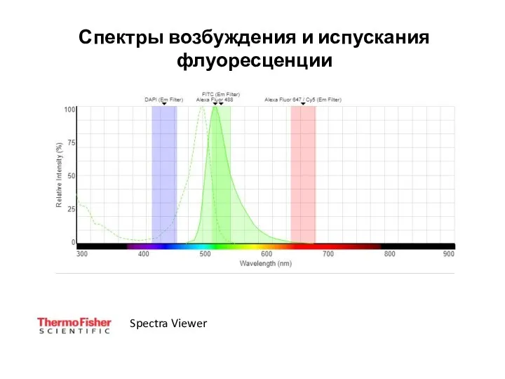 Спектры возбуждения и испускания флуоресценции Spectra Viewer