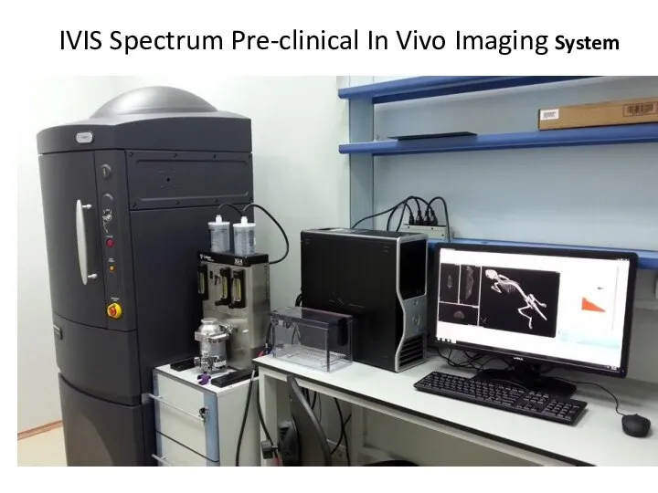 IVIS Spectrum Pre-clinical In Vivo Imaging System