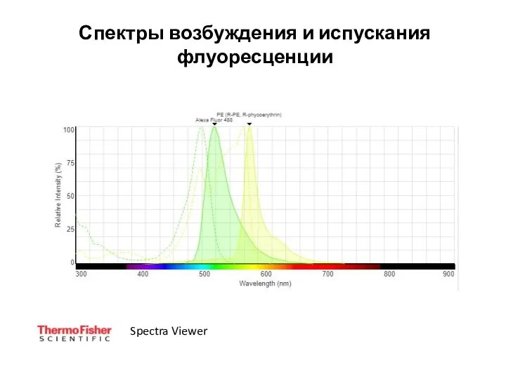 Спектры возбуждения и испускания флуоресценции