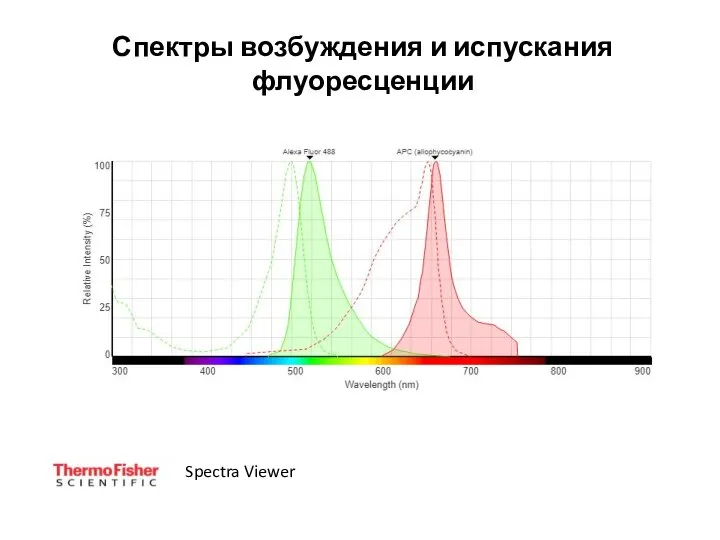 Спектры возбуждения и испускания флуоресценции