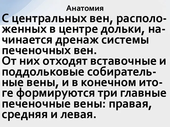 С центральных вен, располо-женных в центре дольки, на-чинается дренаж системы печеночных вен.