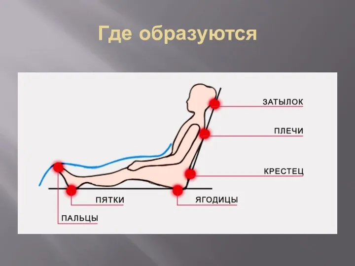 Где образуются