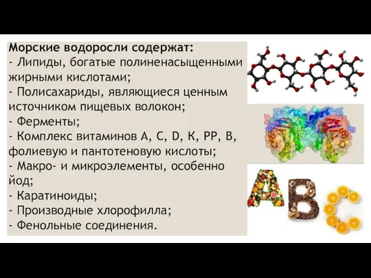 Морские водоросли содержат: - Липиды, богатые полиненасыщенными жирными кислотами; - Полисахариды, являющиеся